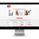 Salon website design in wiltshire